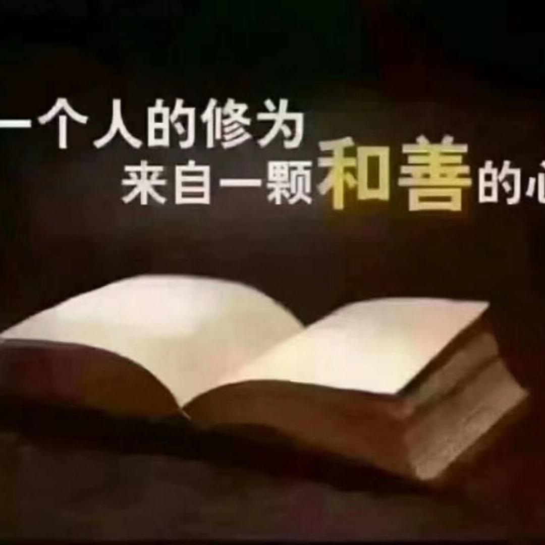 豆丁的美食诱惑