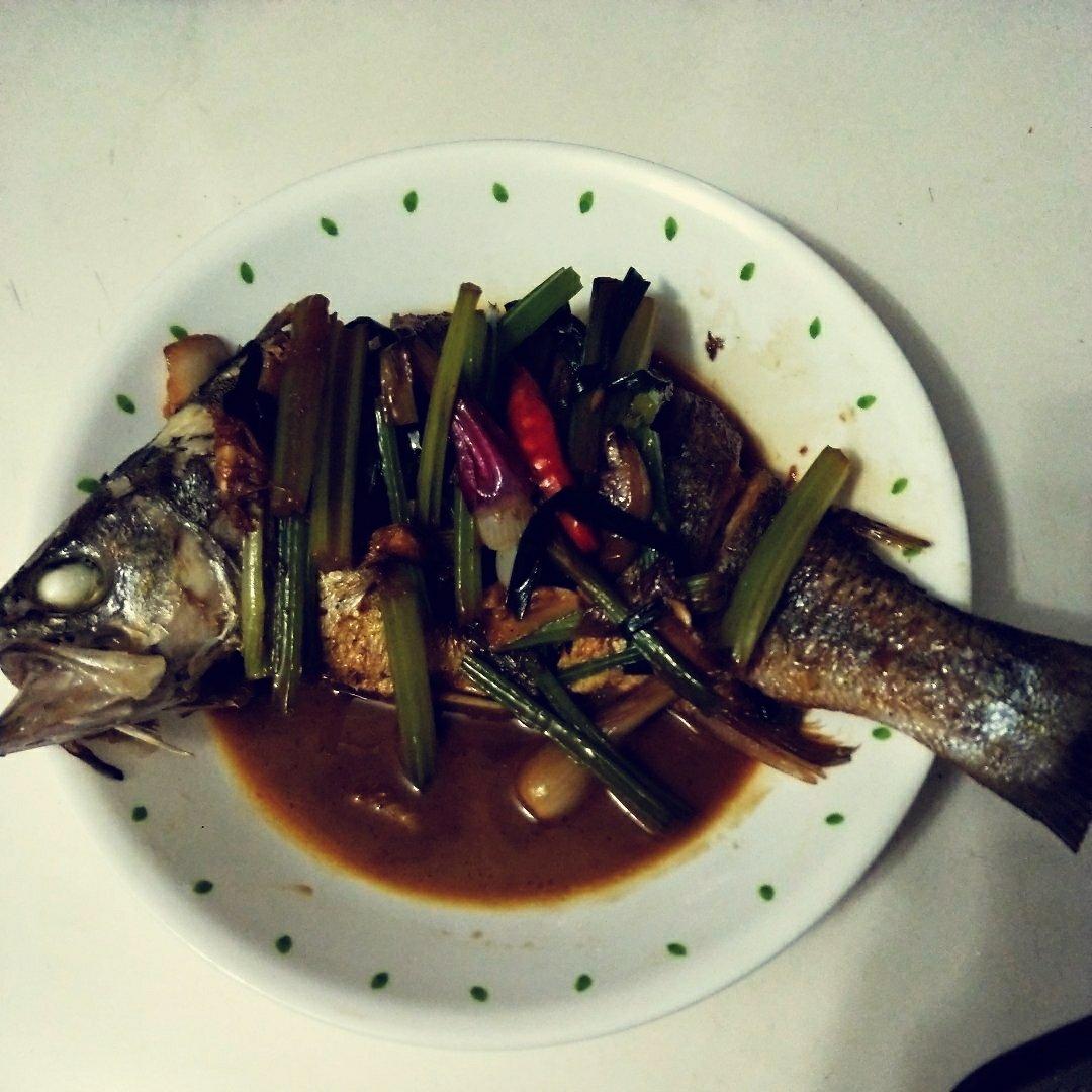 红烧海鲈鱼