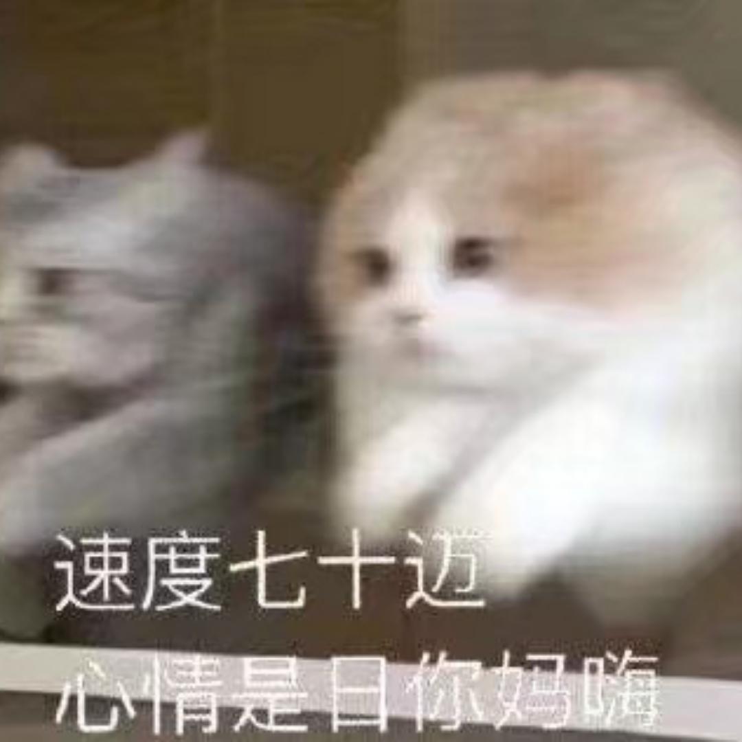 络啰