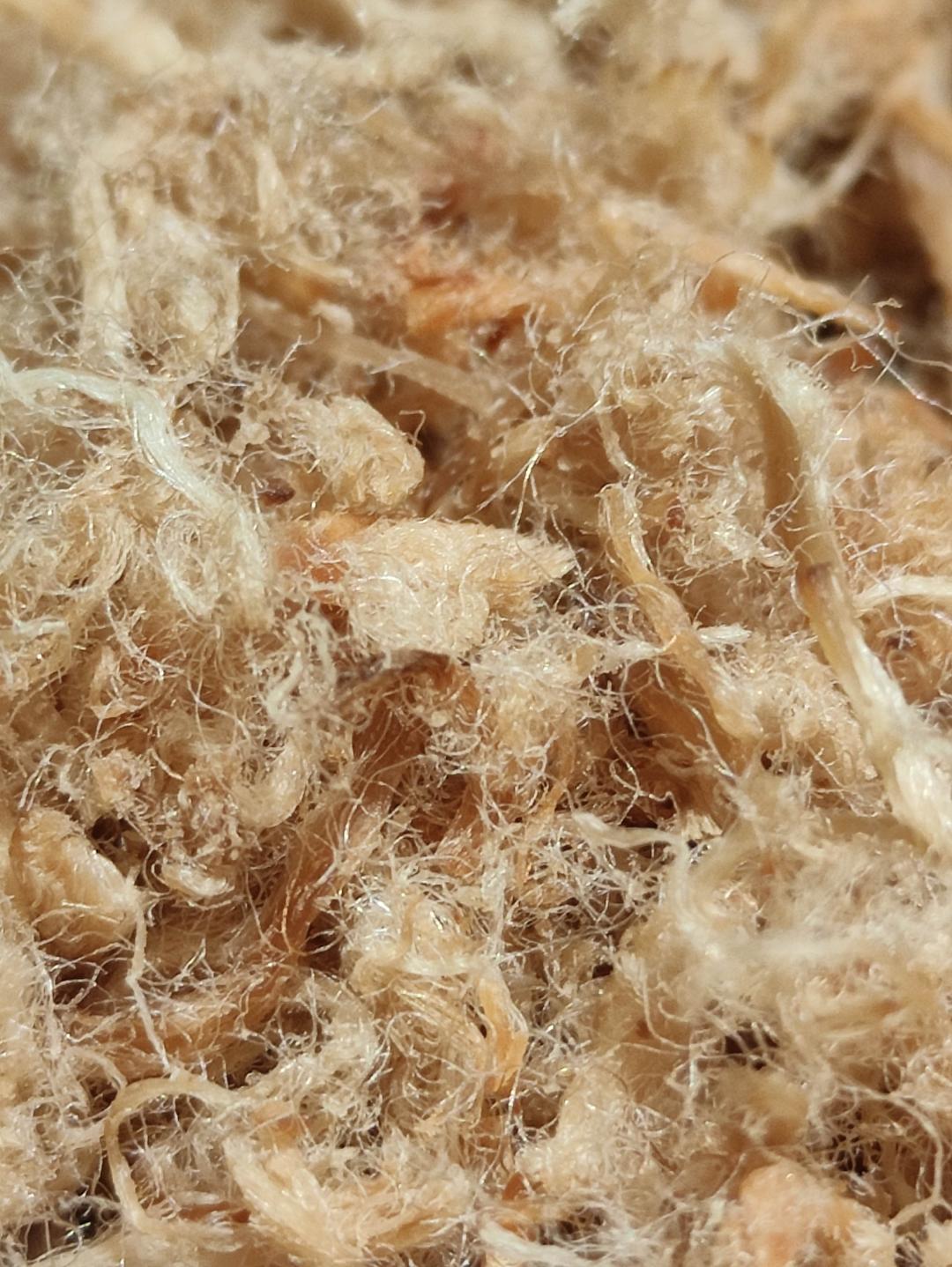 自制肉松（厨师机、烤箱版)