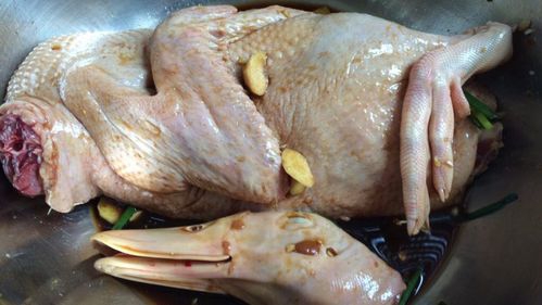 干煸姜母鸭，闽南特色的做法 步骤2