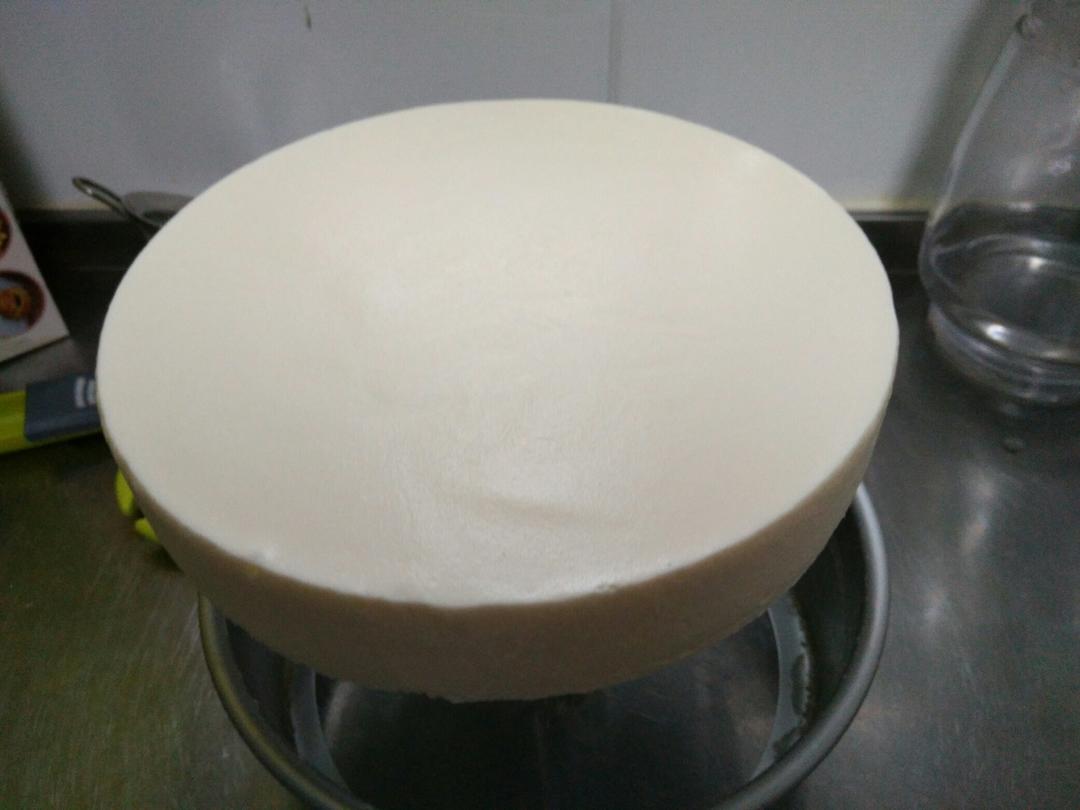 冻酸奶芝士蛋糕