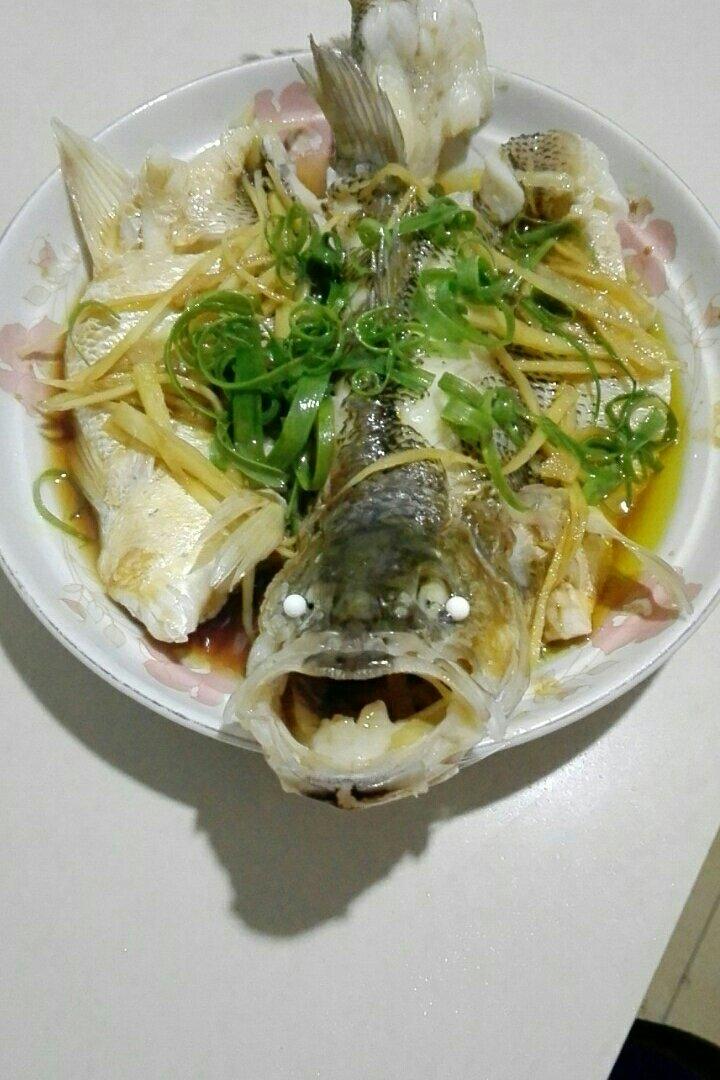 轻舞飞扬_fdm8做的超入味清蒸鱼～清蒸鲈鱼桂花鱼(家常独创)