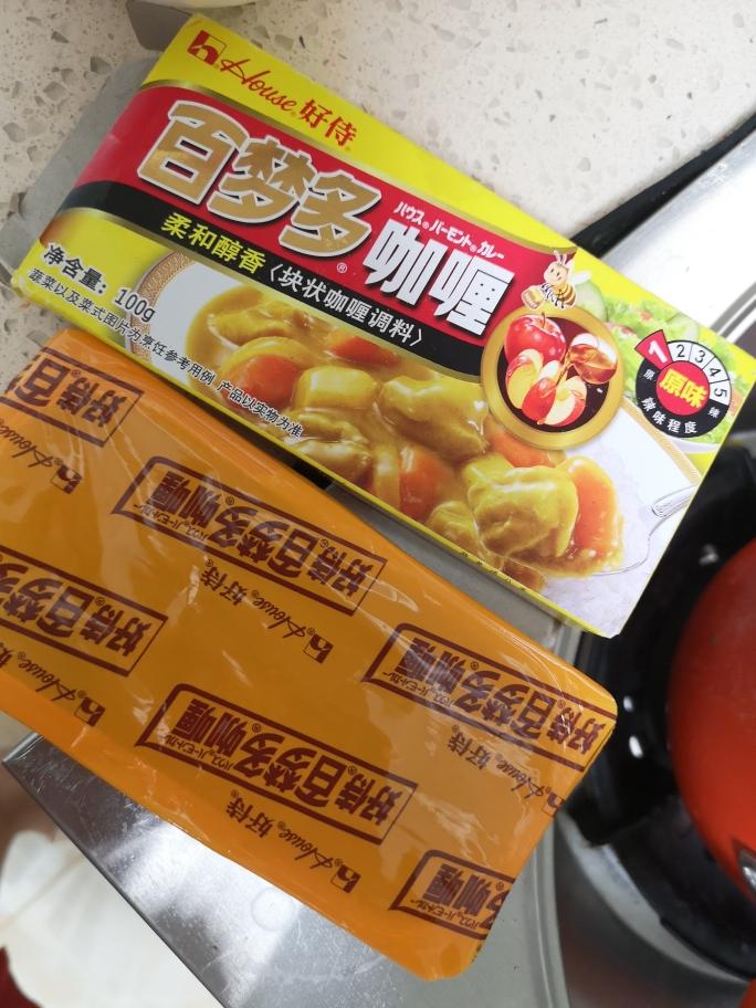 原味咖喱鸡饭的做法 步骤3