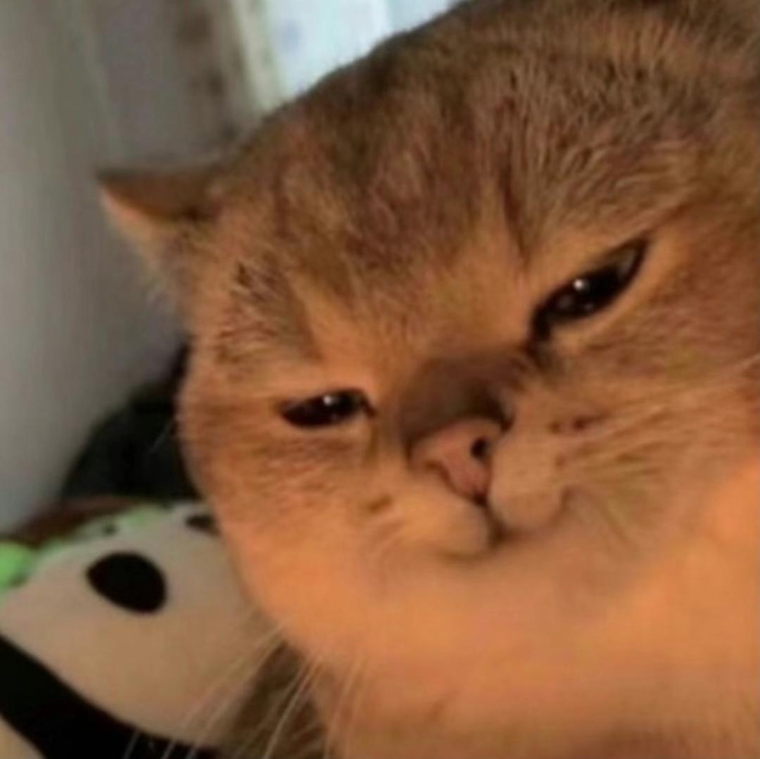 克莱鹅轰炸厨房