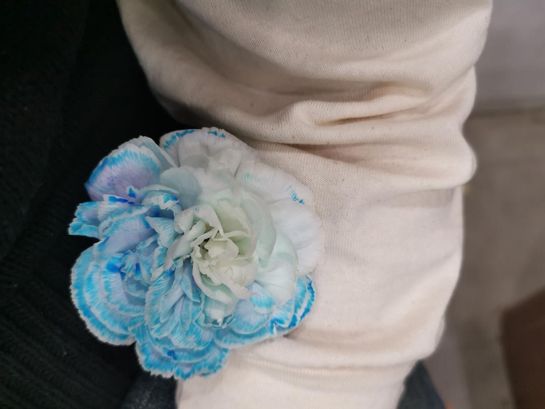 我妈的拿手菜！！炝拌藕丝！酸辣脆爽！