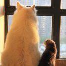 我是柽柽不是怪