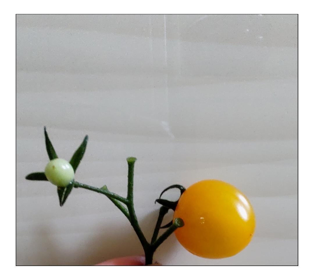 开胃三色小番茄｜春节家宴解腻开胃菜