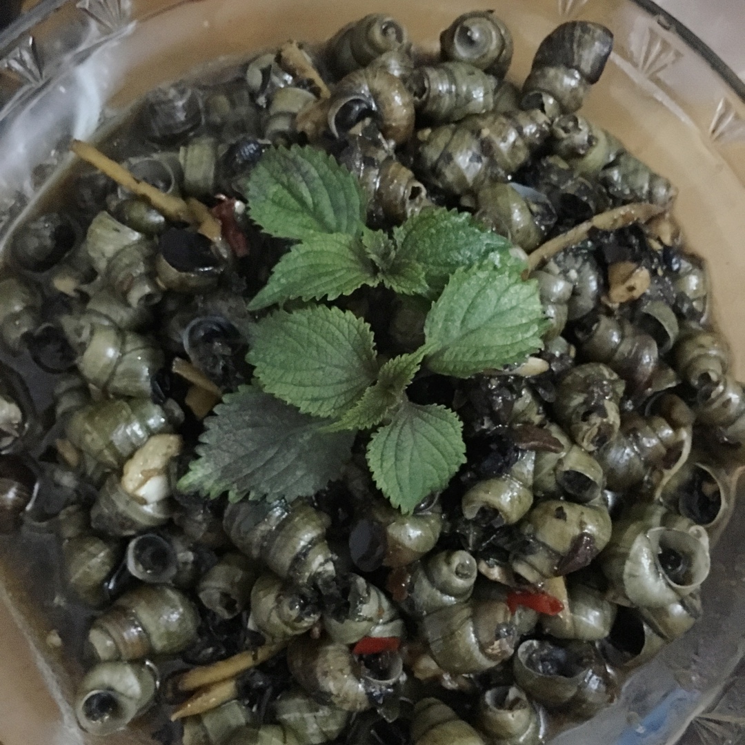 紫苏豉酱炒石螺