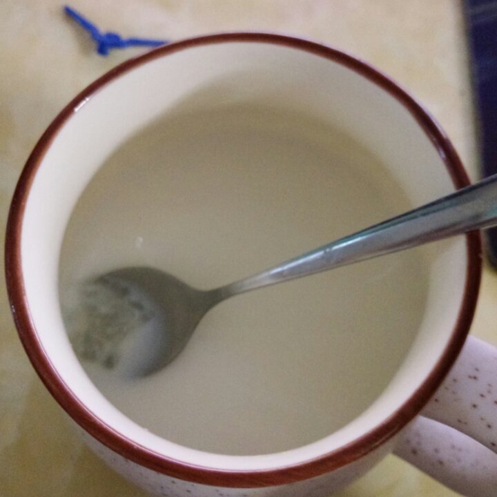 鲜奶炖燕窝