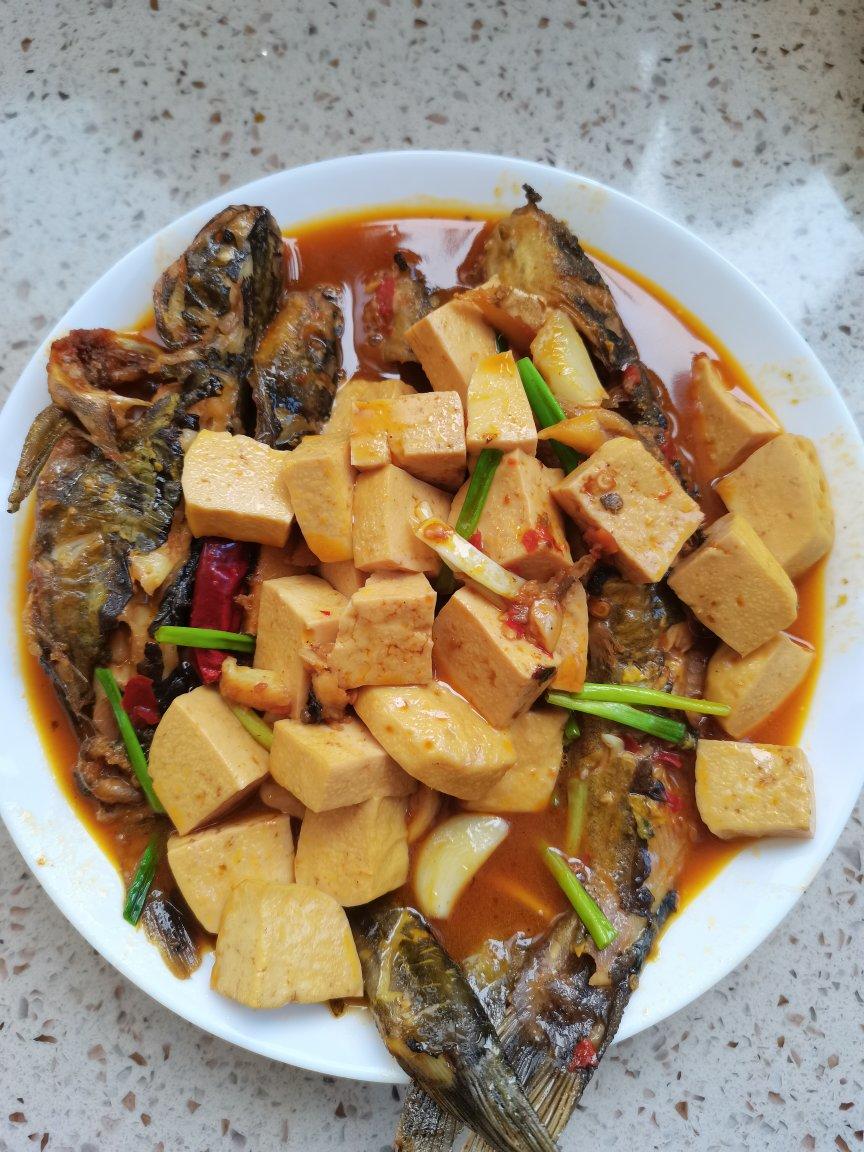 黄刺鱼烧豆腐