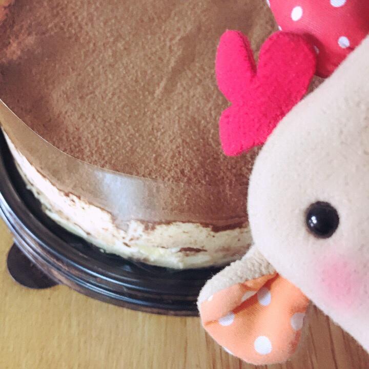 《Tinrry+》提拉米苏