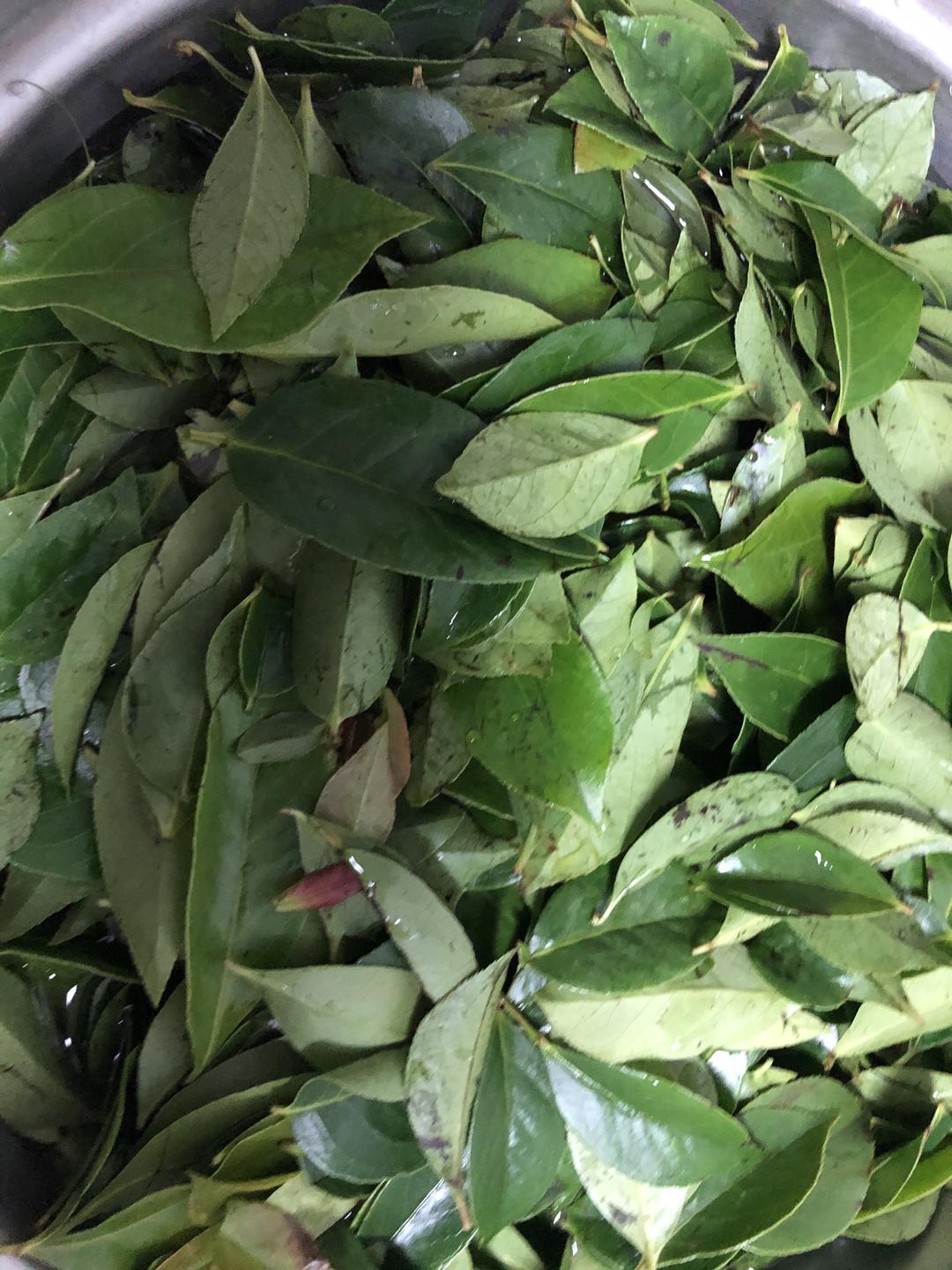 自制乌饭汁(南烛汁)的做法 步骤1