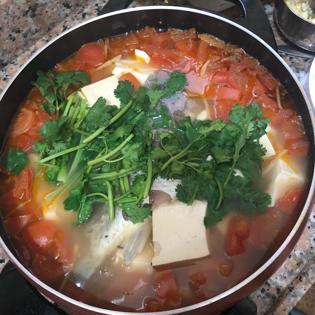 番茄豆腐炖鲫鱼