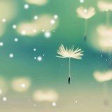 菠菜妈