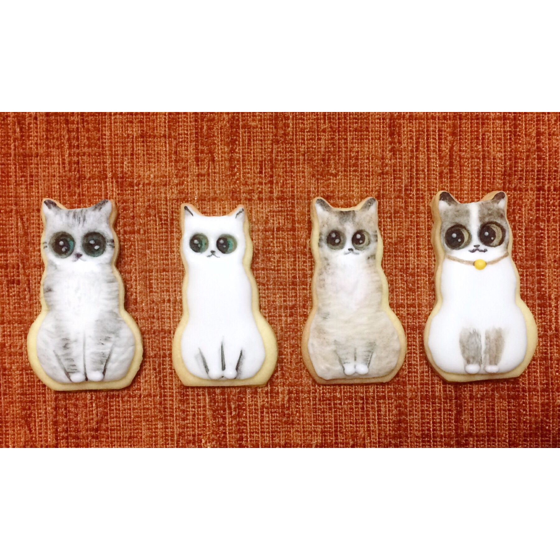 超简单！好吃又平整的糖霜饼干底的做法（附贴心小提示哦）