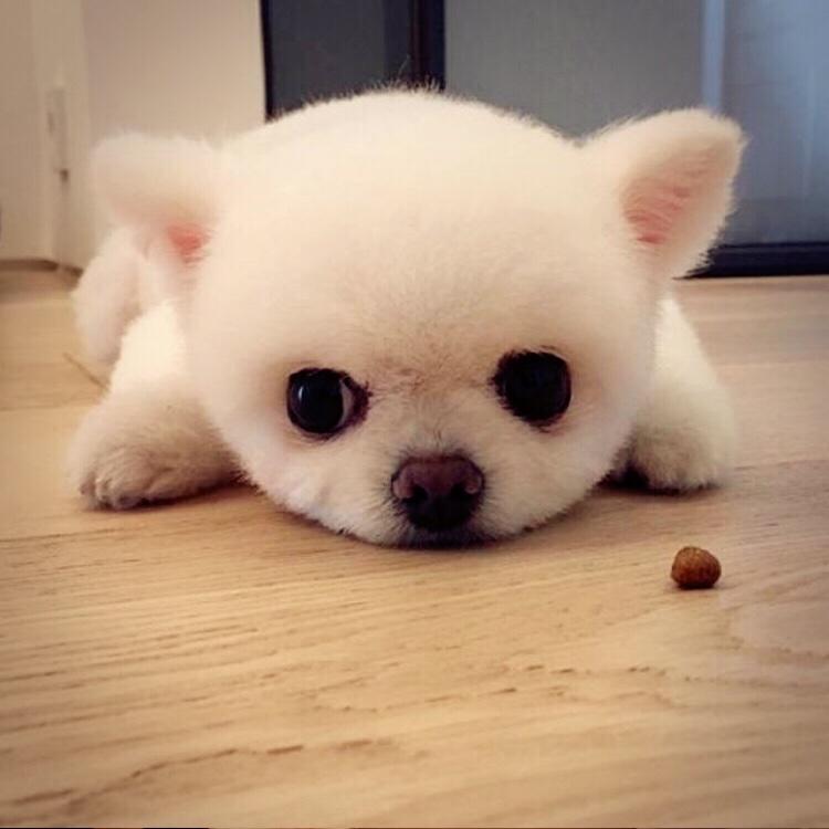 郑曼珊Samantha