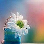 左手紧握肝油丸