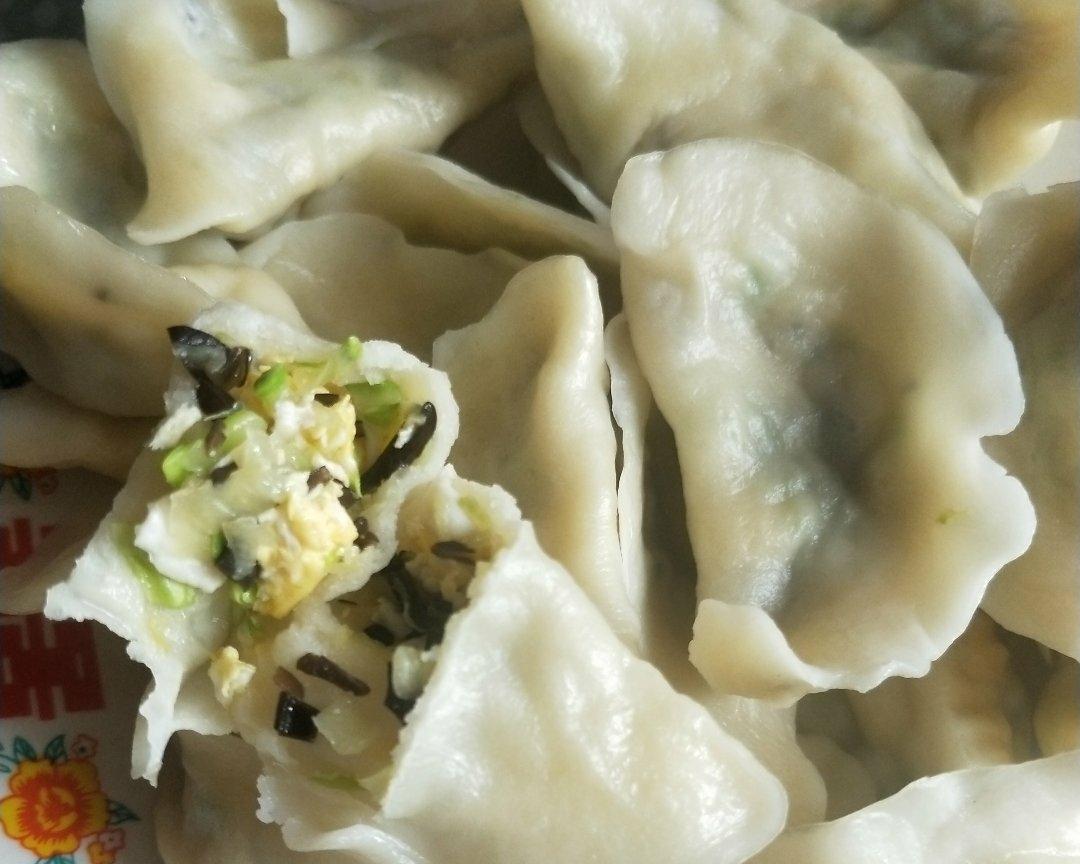 茭瓜(西葫芦)鸡蛋木耳水饺