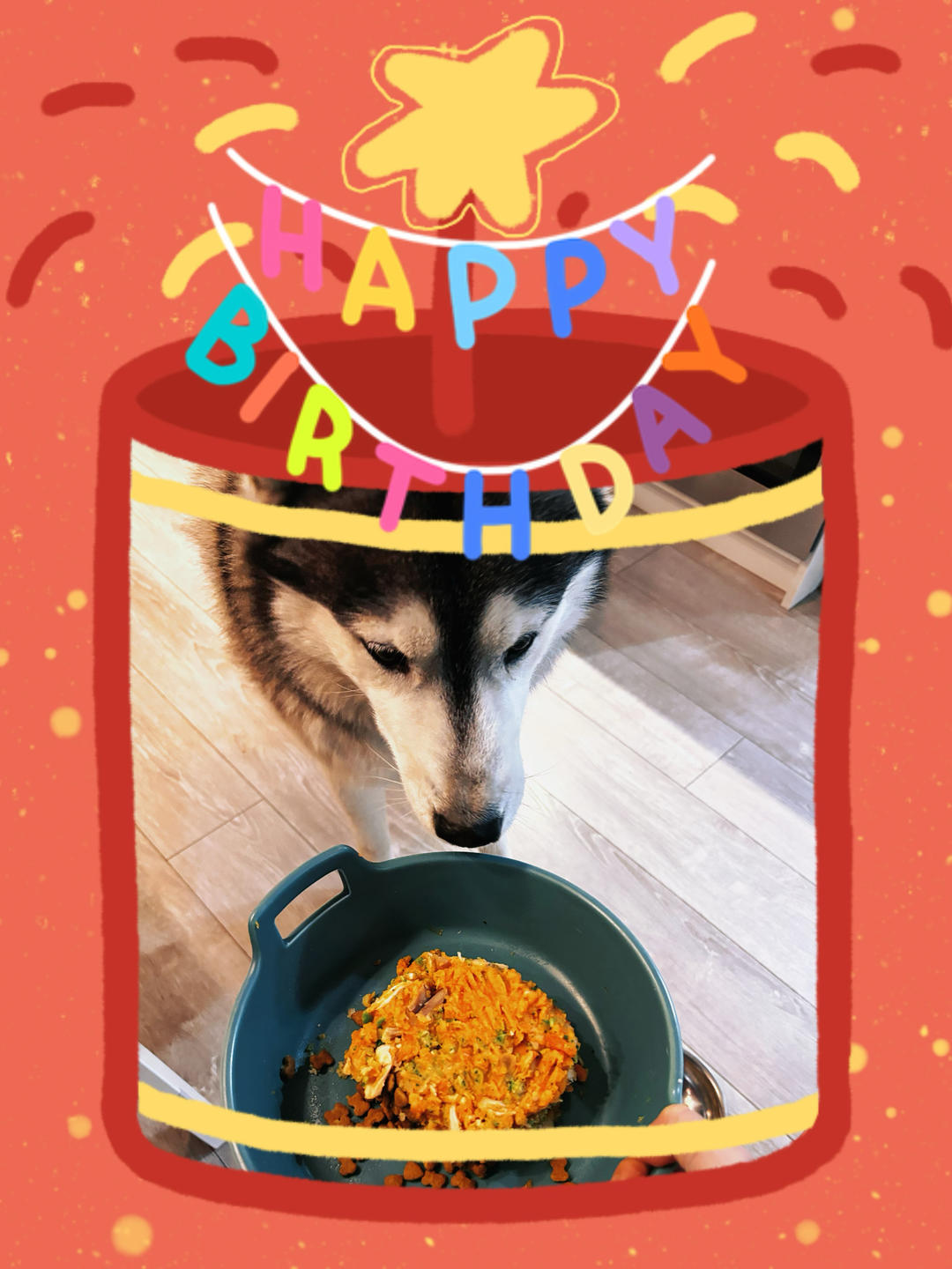 自制猫狗宠物生日蛋糕/辅食蛋糕（无烤箱）