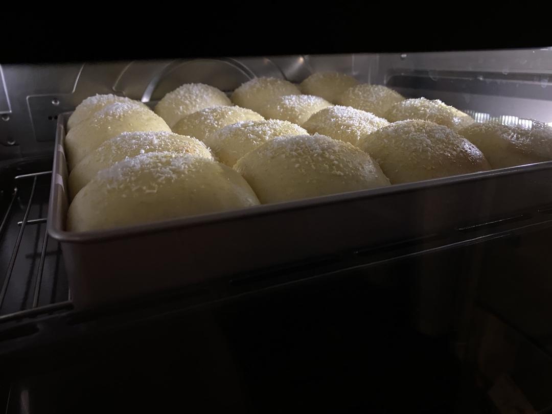 鲜奶油小餐包（一次发酵）