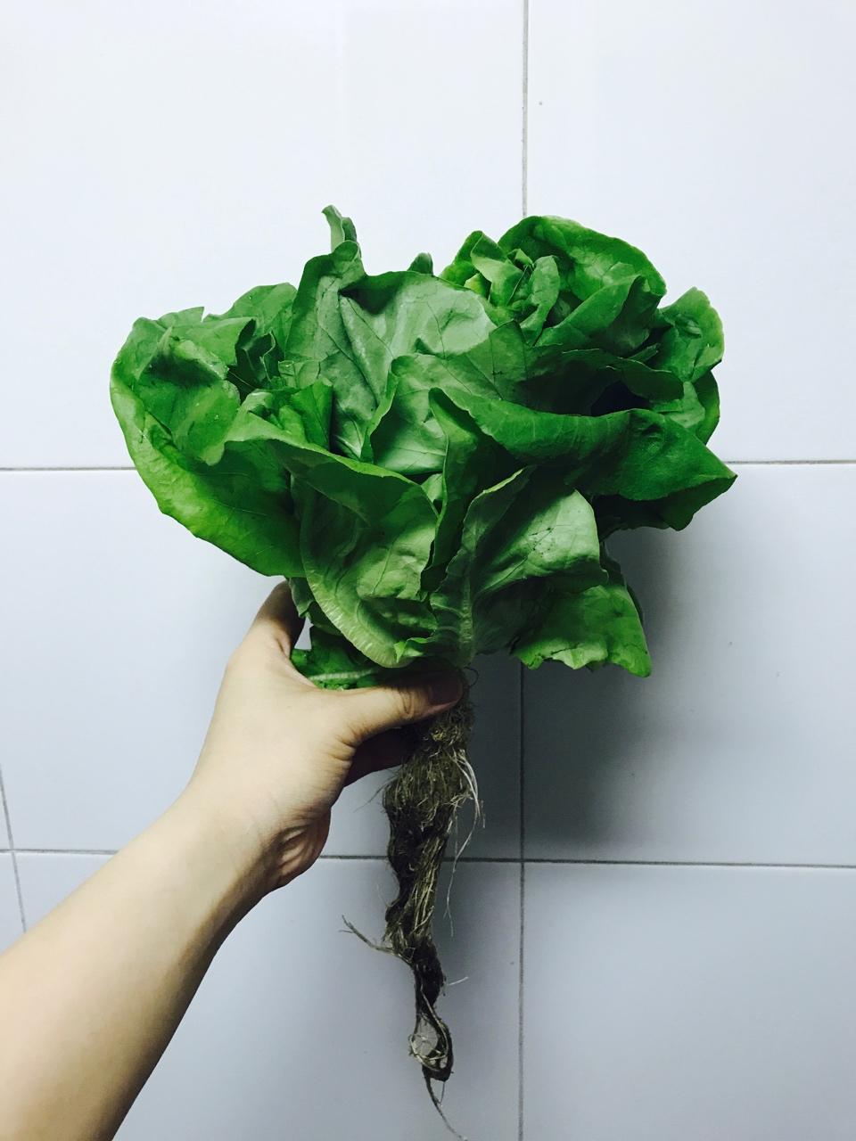 叫醒我的是什么？