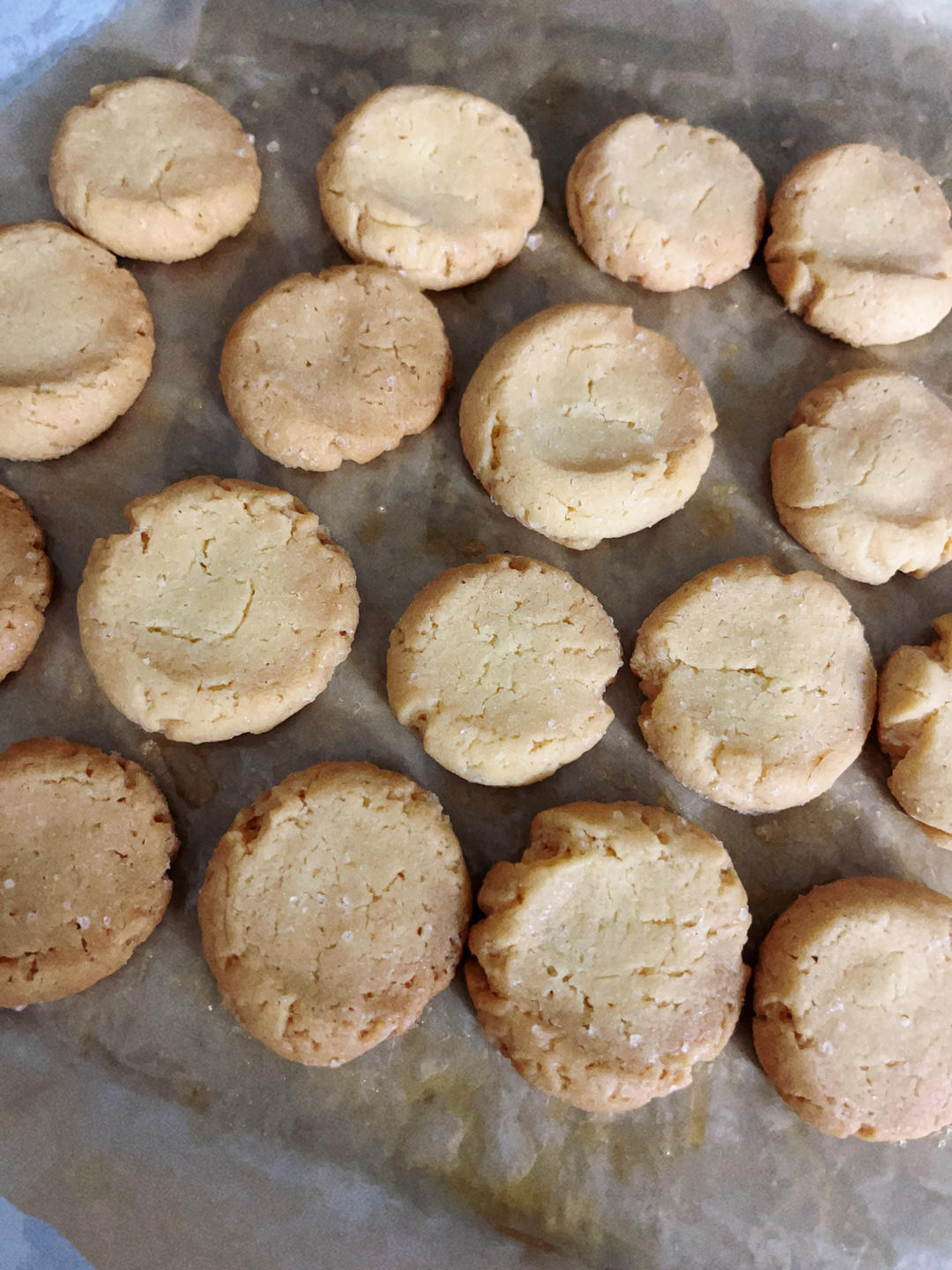 植物油版曲奇饼干（儿童饼干）