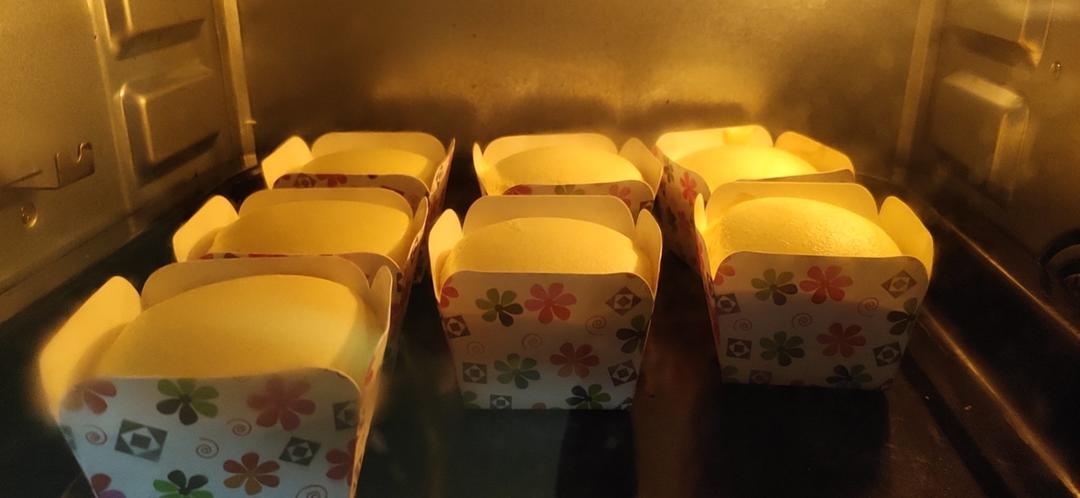 酸奶蜜豆纸杯蛋糕（后蛋法）