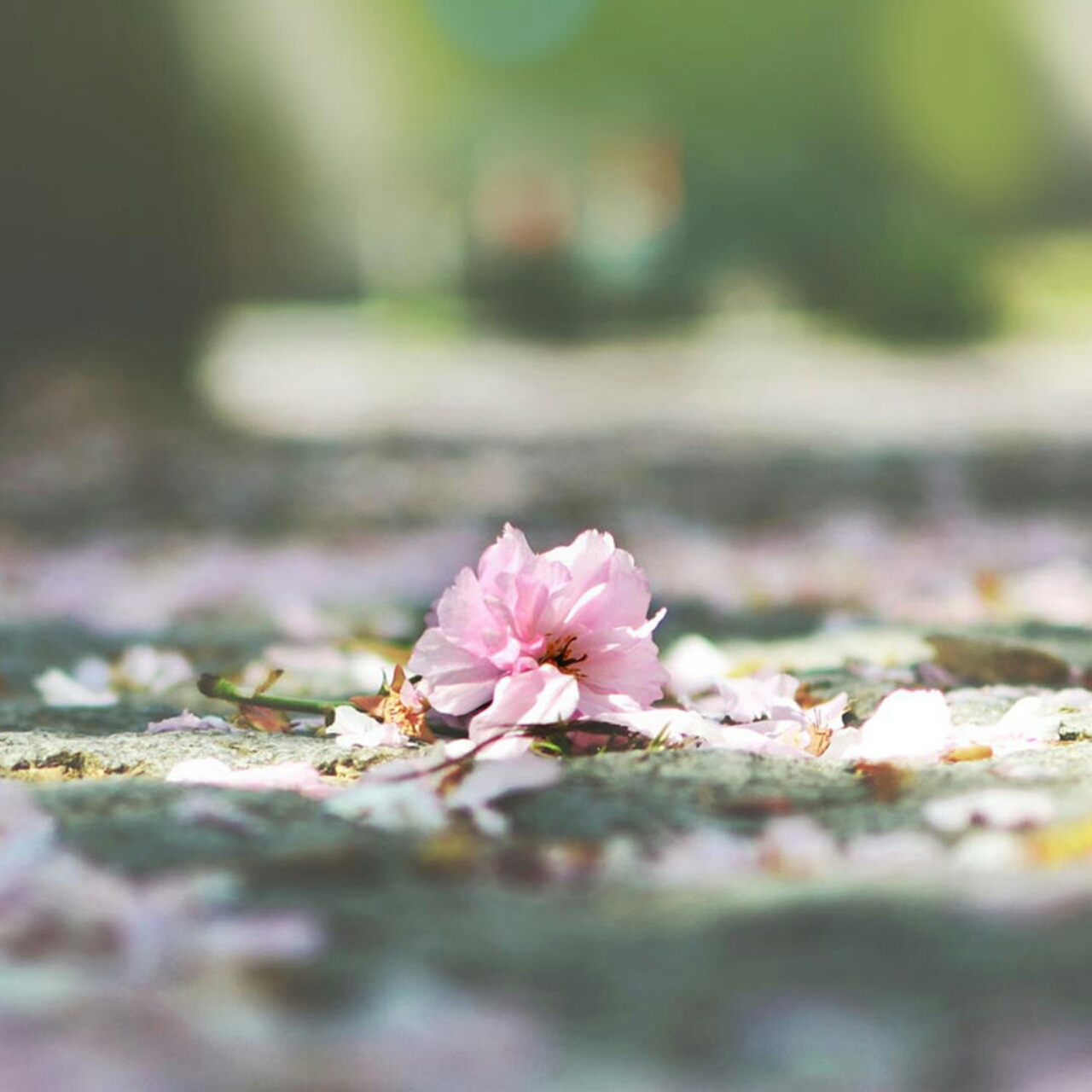 手机用户9710_j46c