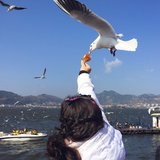 幸福猫妈妈