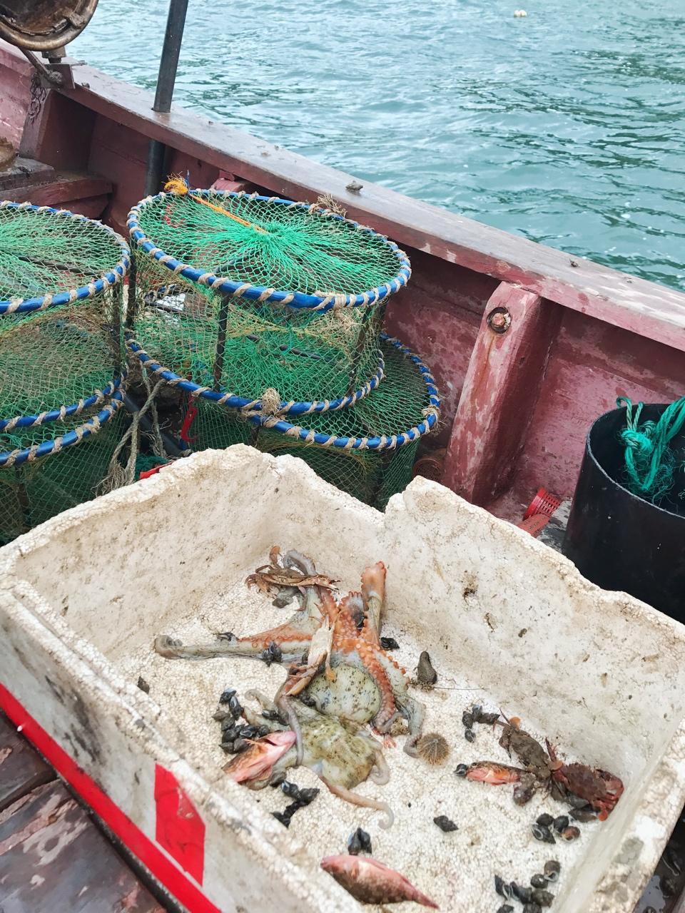 愿你走遍山川湖海。