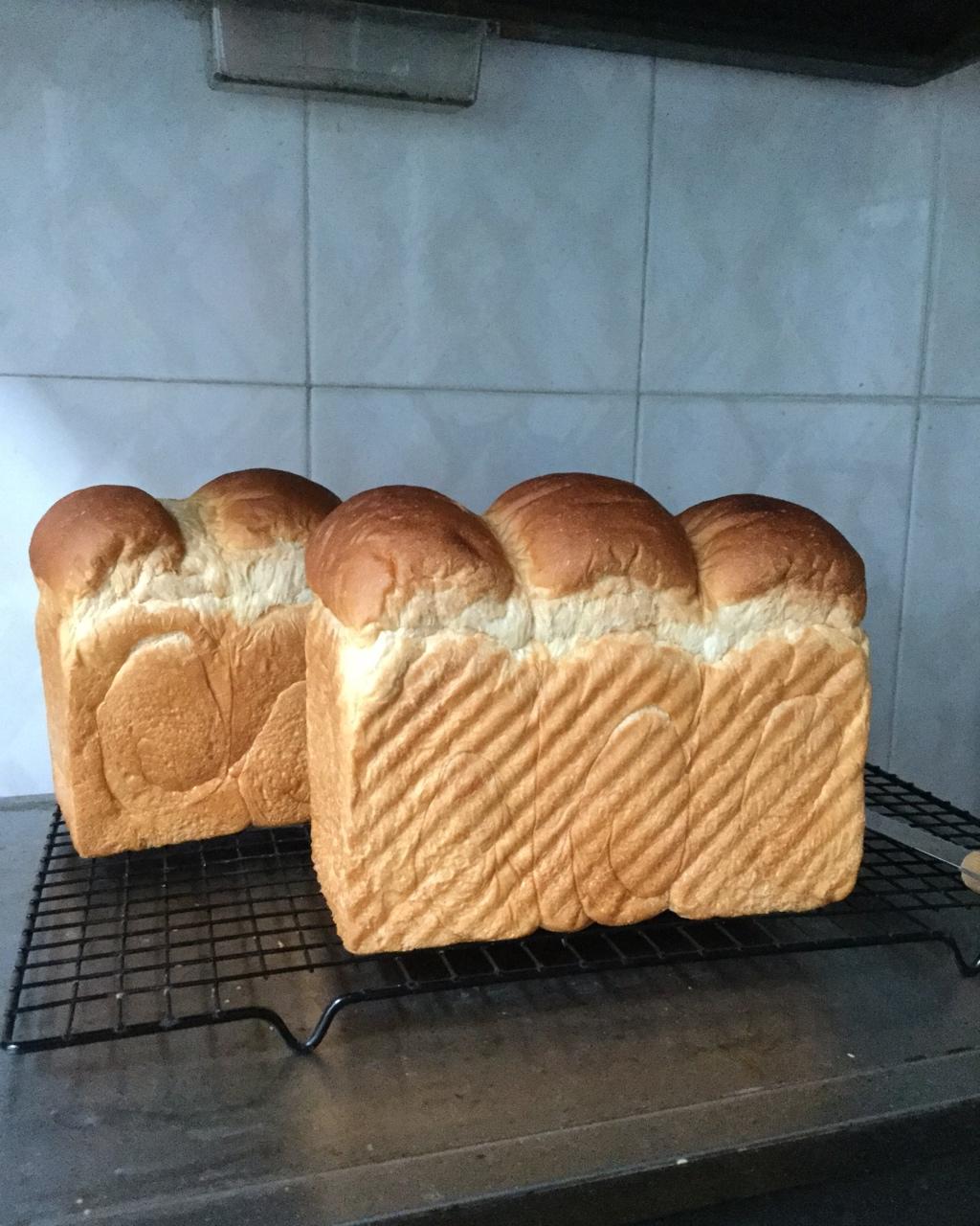 冷藏中种养乐多吐司