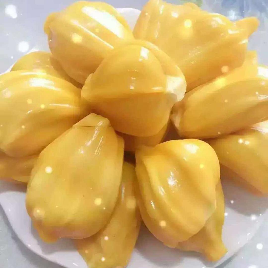 love�乐乐�嘉嘉�