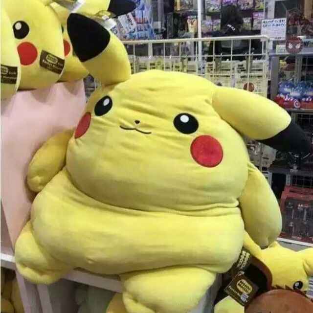 一张豆