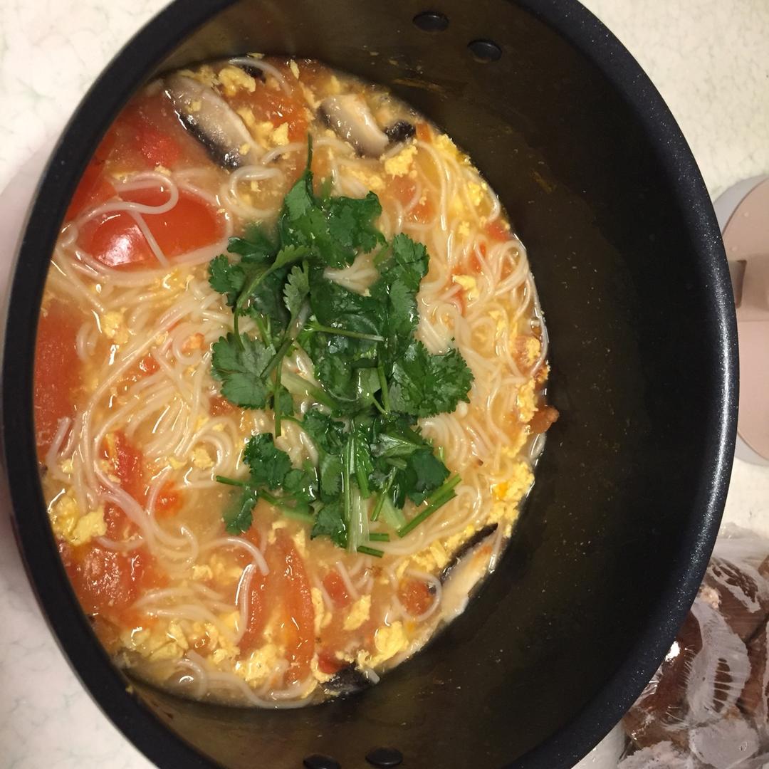 西红柿鸡蛋面