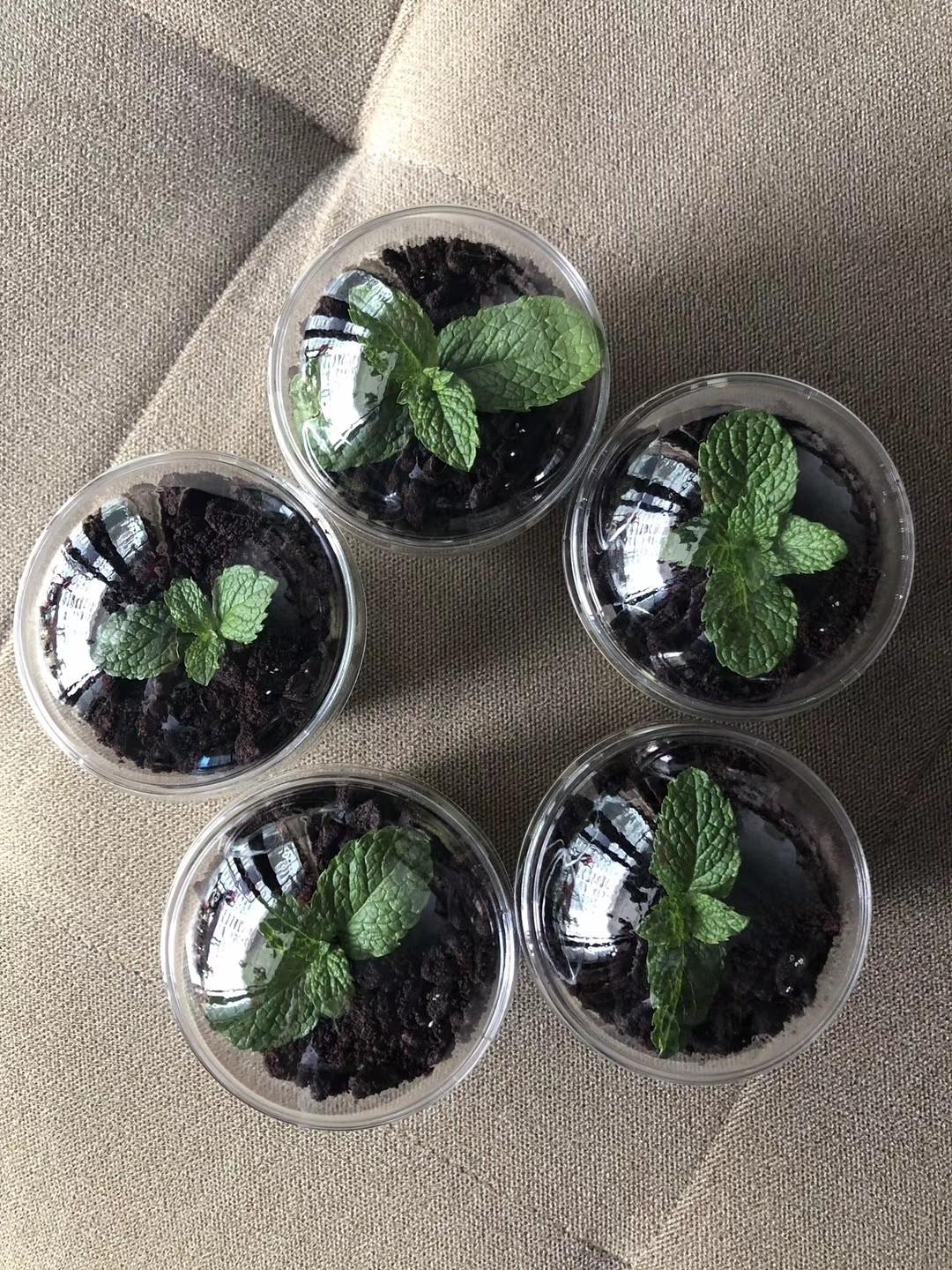 牛油果奶昔的做法