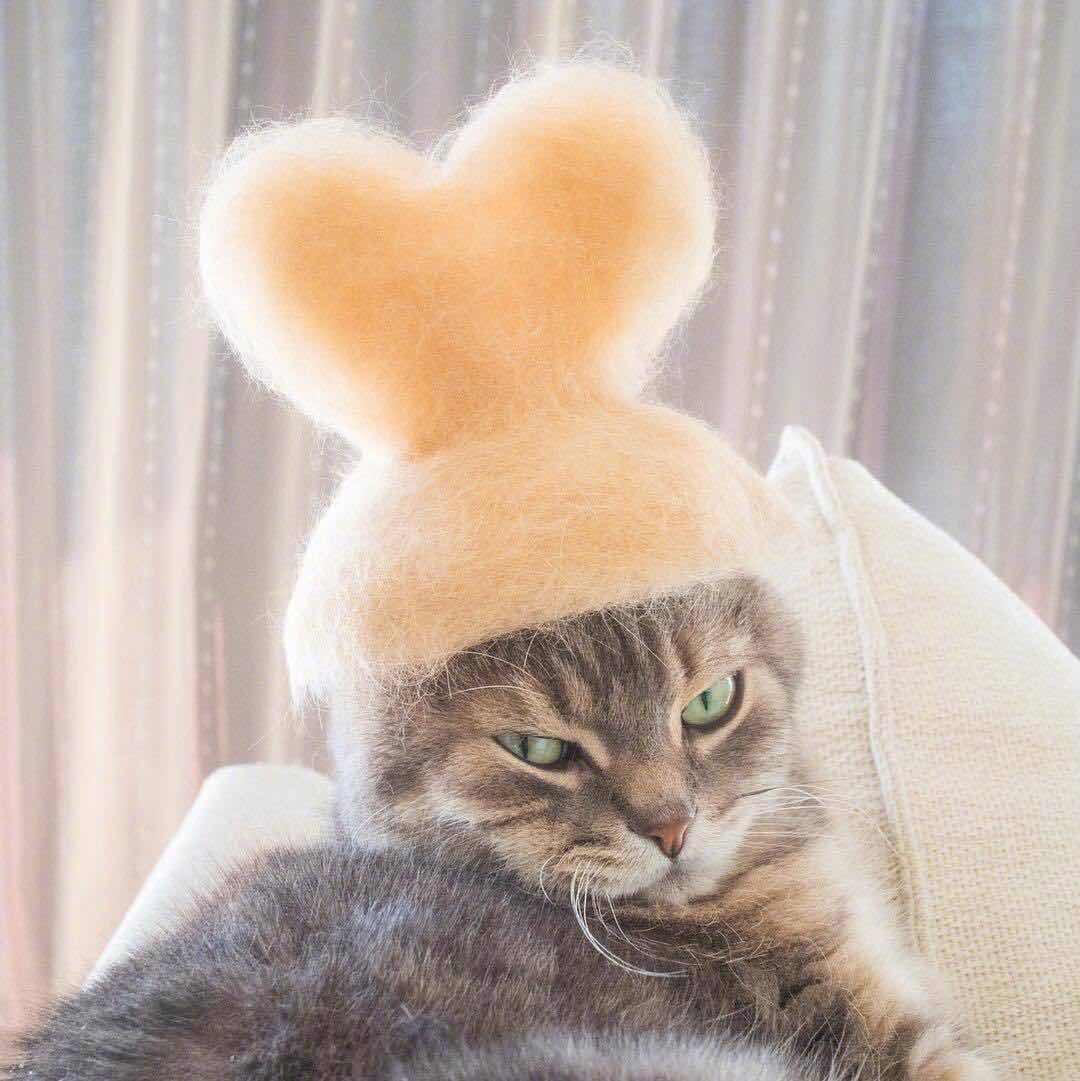 周嘉瑤
