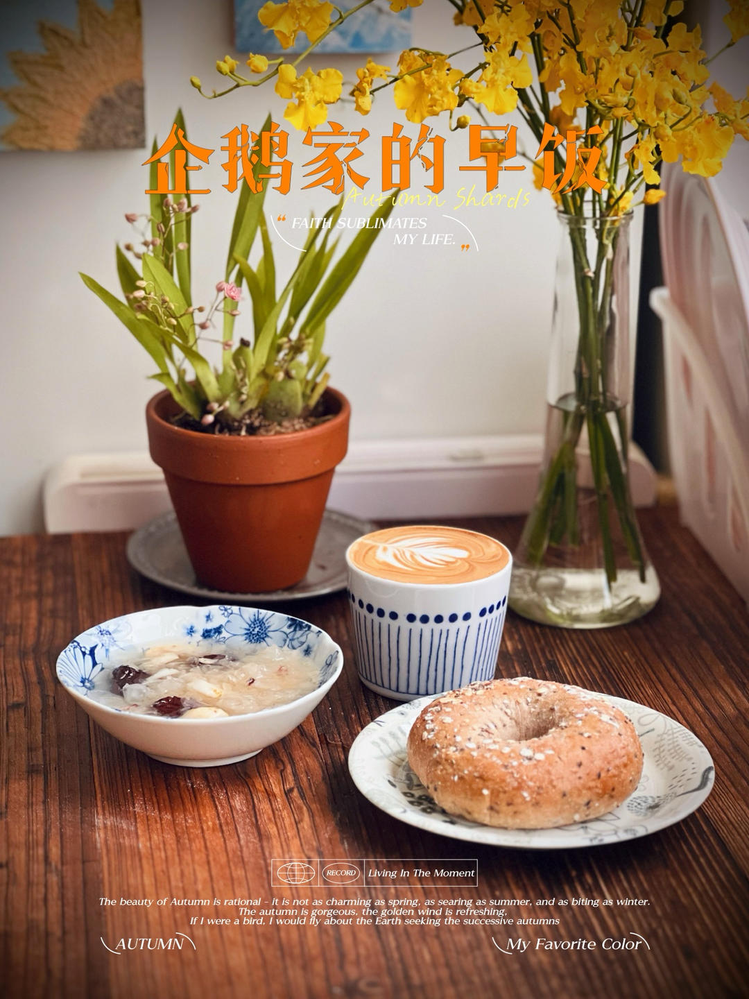 企鹅家的间歇性素食