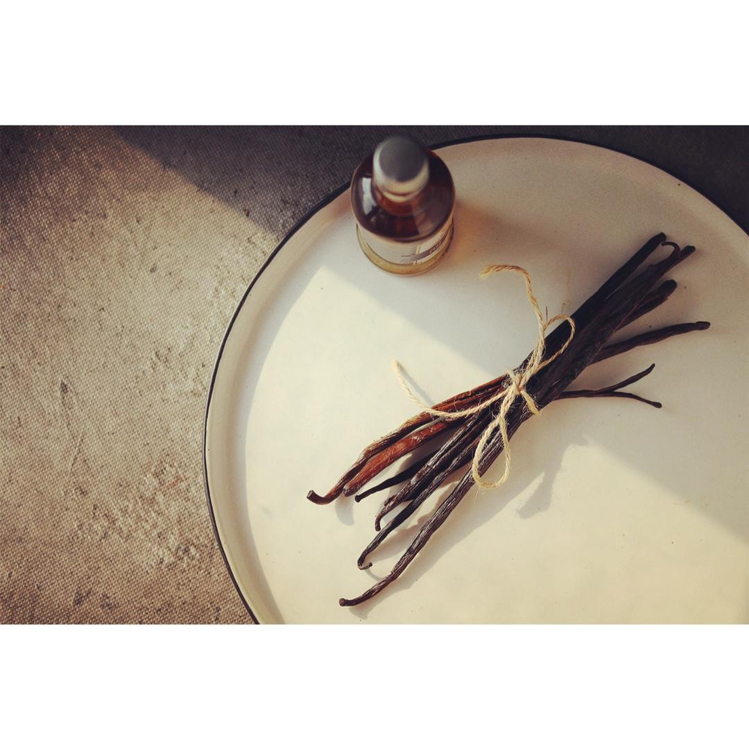 关于香草豆荚，看这一篇就够了