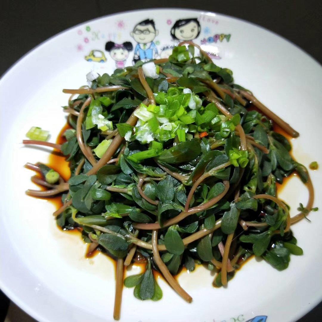 凉拌马齿笕