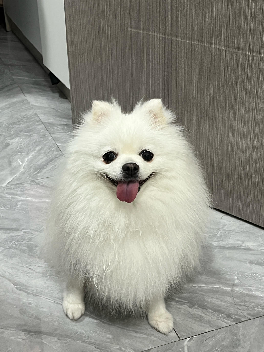 饭饭饭yyds