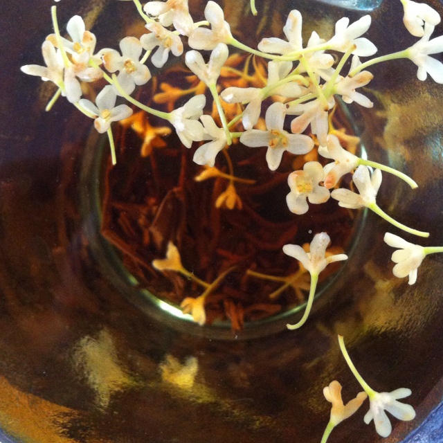 桂花红茶