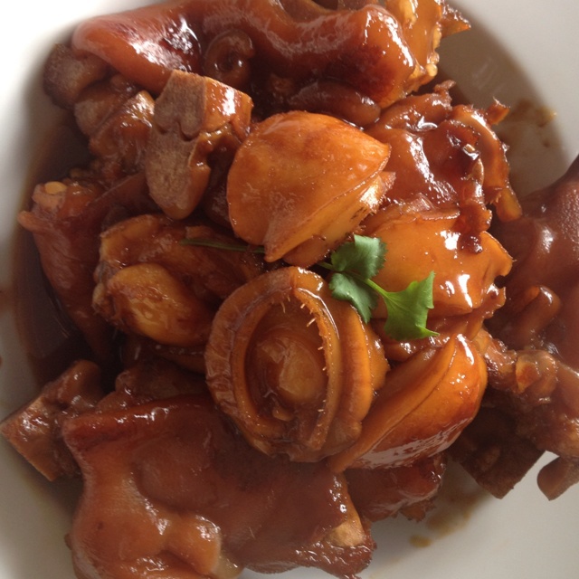 猫呗做的鲍鱼炖猪脚