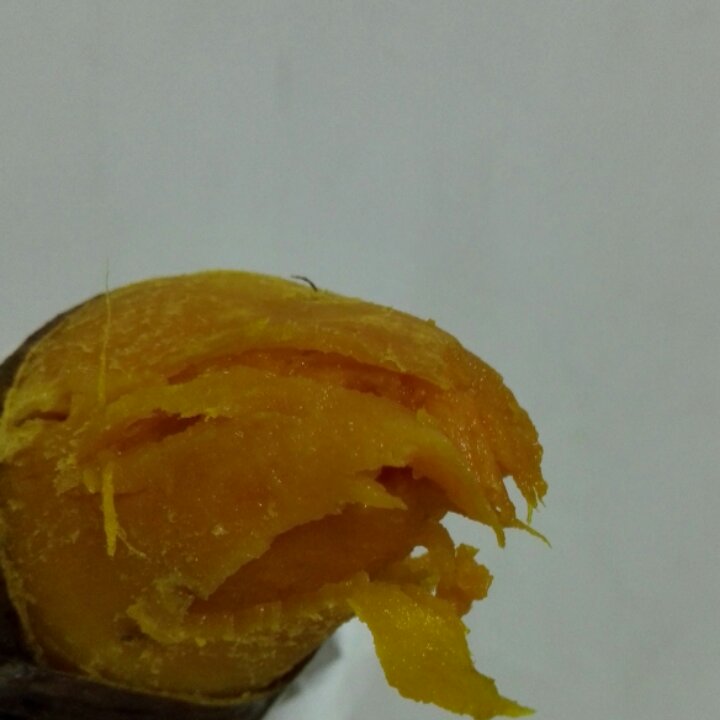 烤红薯