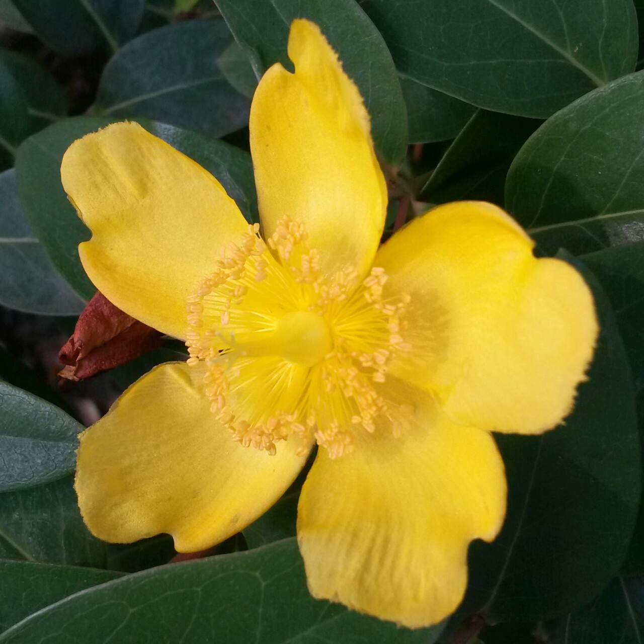 octobersunny向前看