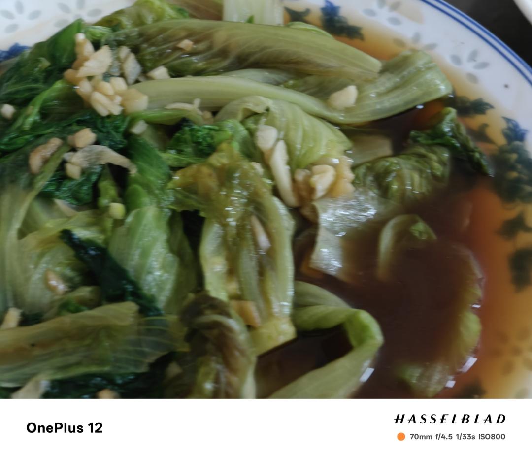 蚝油生菜