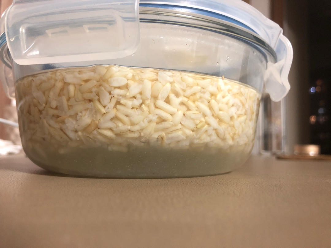 6分钟自制米酒【省事米酒最简易的打开方式】ヽ(•̀ω•́ )ゝ自制酒糟.醪糟.酒酿