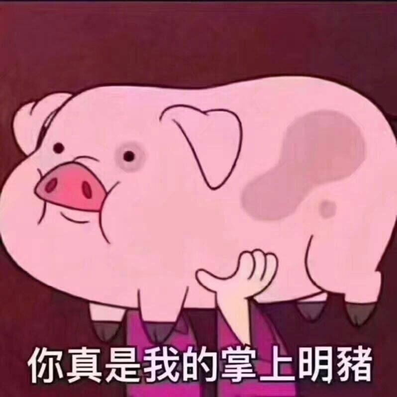 熊子酱