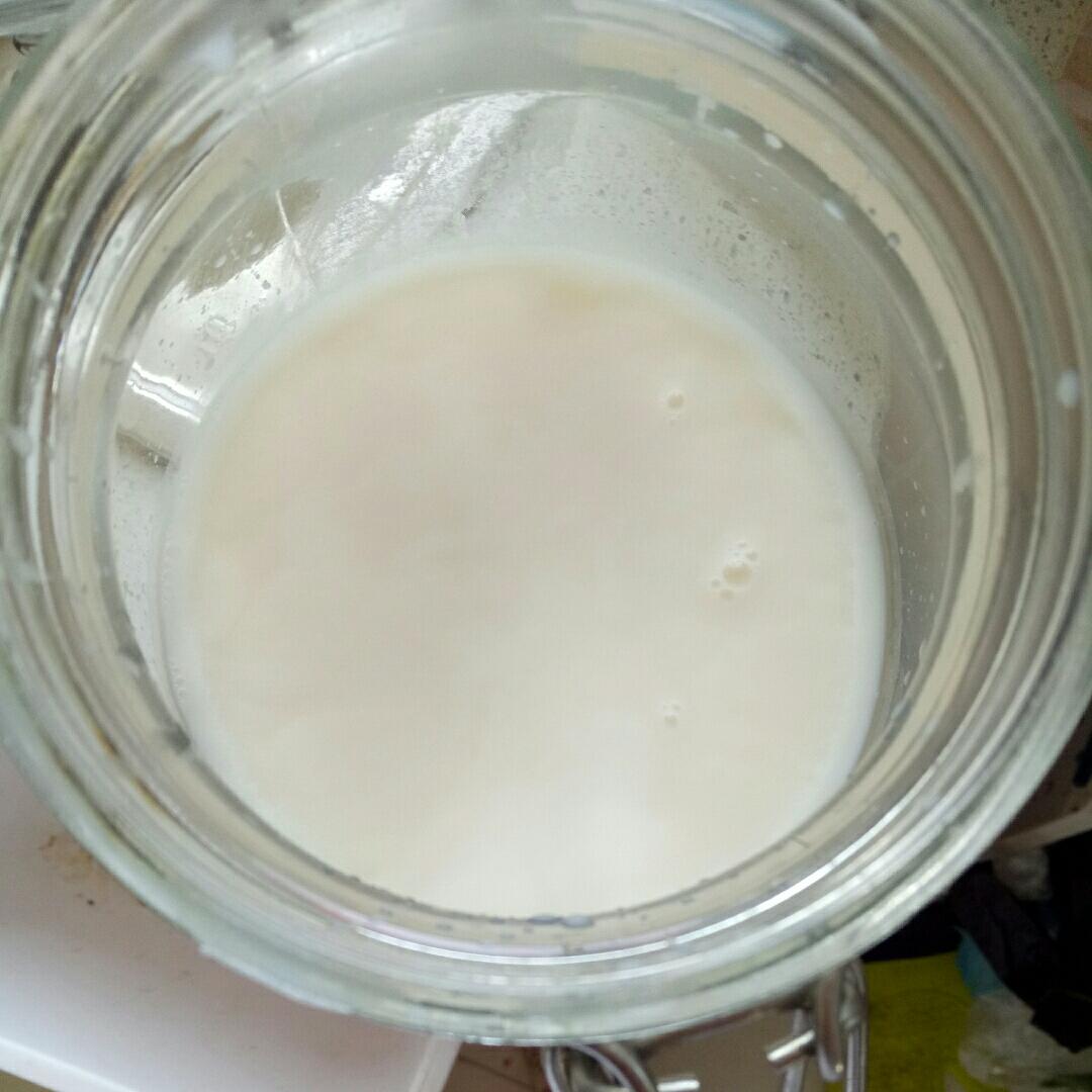 炼出白色的大油（猪油）