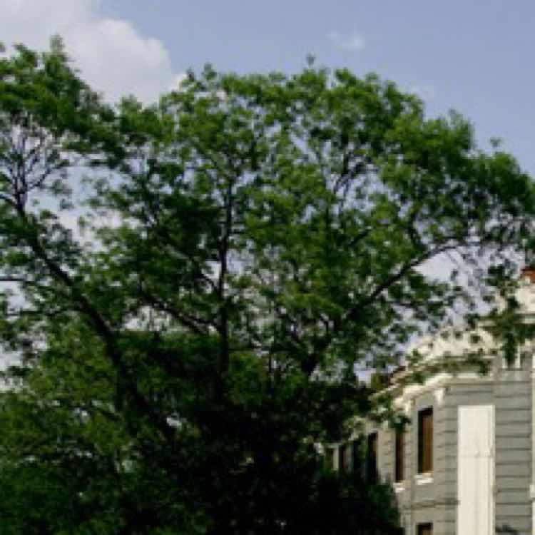 我要做个好厨子